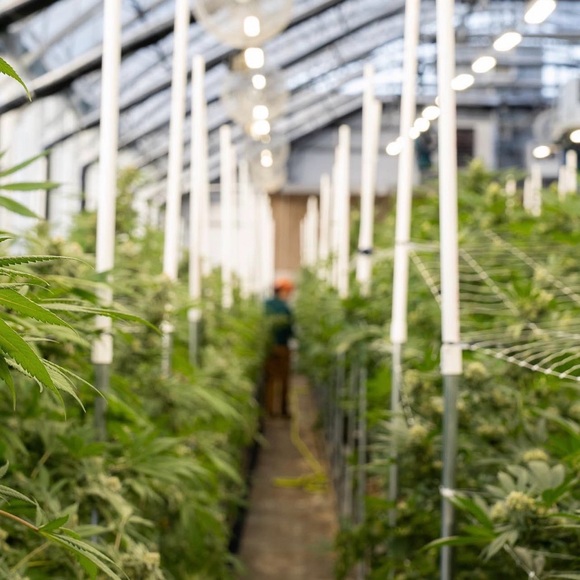 Meet your Posher, Martino - Picture 16 of 16